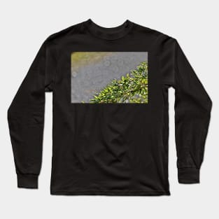 Bamboo Leaves Border Long Sleeve T-Shirt